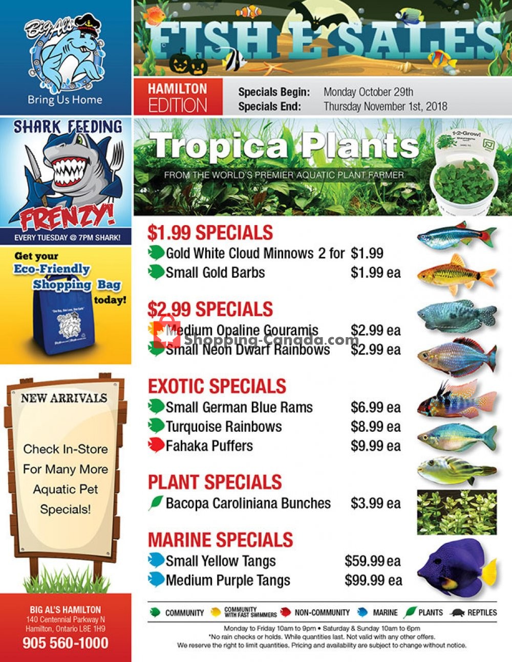 Big Al's flyer from Monday October 29, 2018 to Thursday November 1, 2018 - page 1