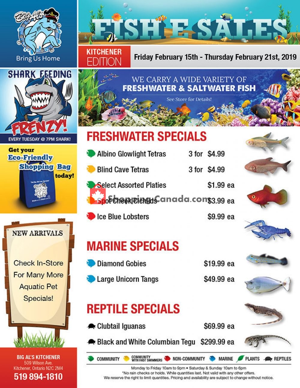Big Al's flyer from Friday February 15, 2019 to Thursday February 21, 2019 - page 1