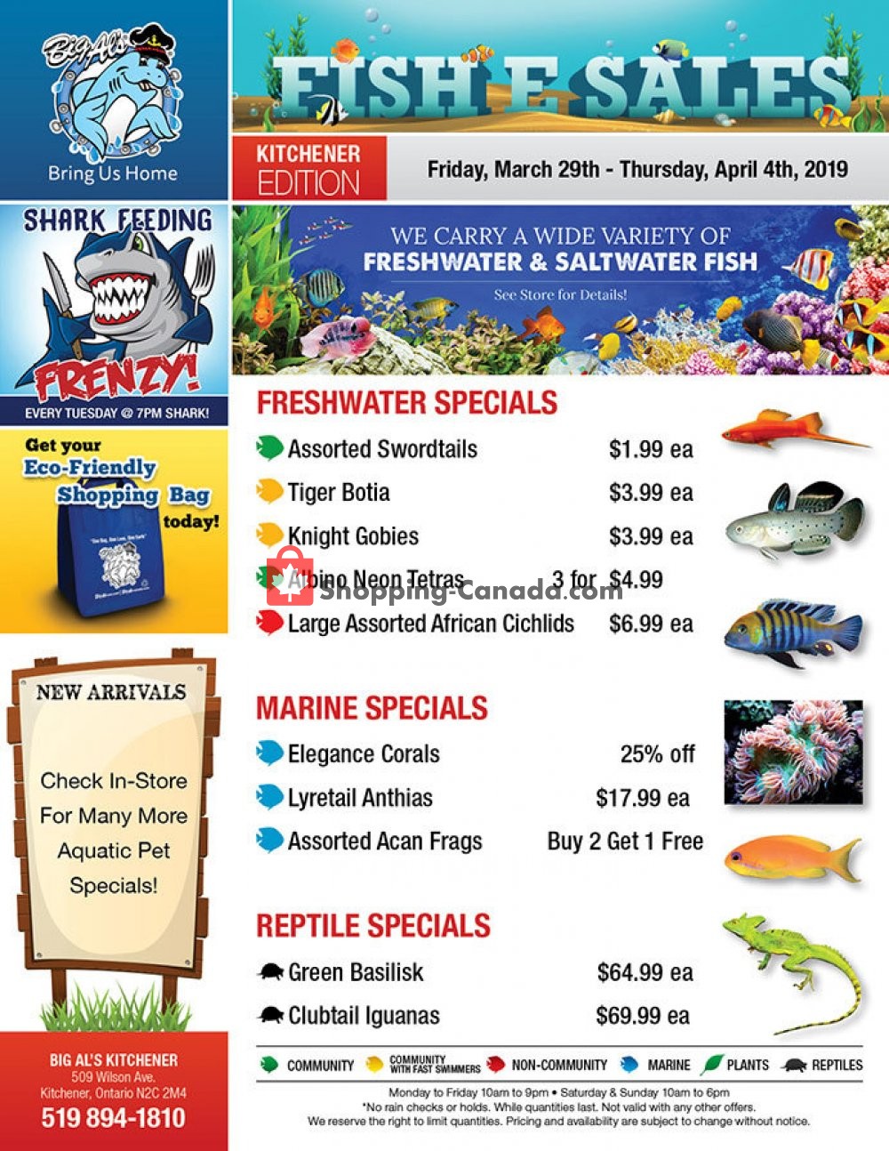 Big Al's Canada, flyer (Kitchener Fish E Sales) March 29 April 4