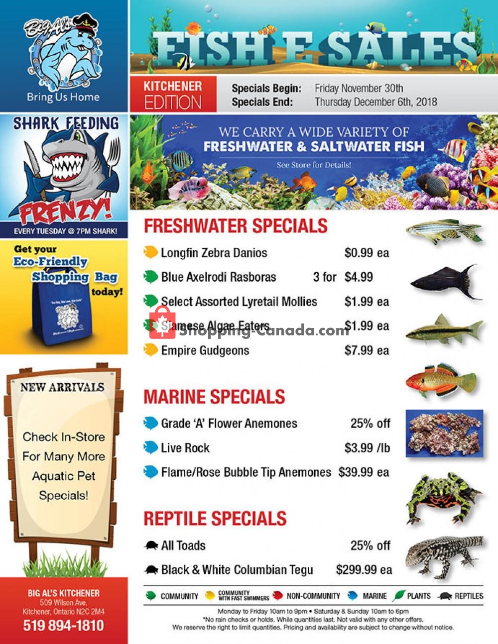 Big Al's flyer from Friday November 30, 2018 to Thursday December 6, 2018 - page 1