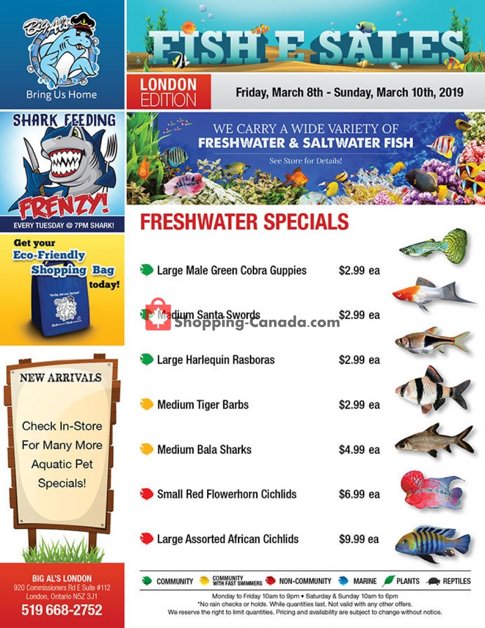 Big Al's flyer from Friday March 8, 2019 to Sunday March 10, 2019 - page 1