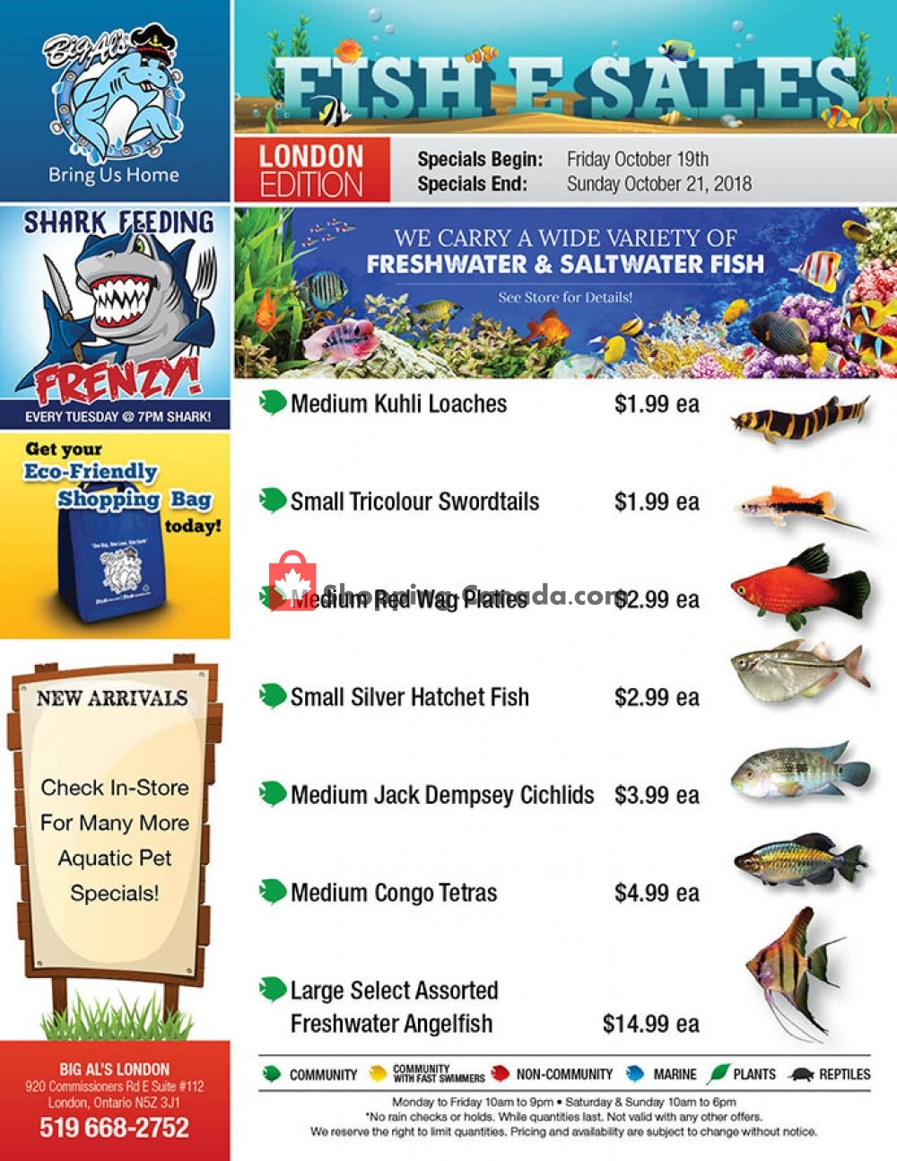 Big Al's flyer from Friday October 19, 2018 to Sunday October 21, 2018 - page 1