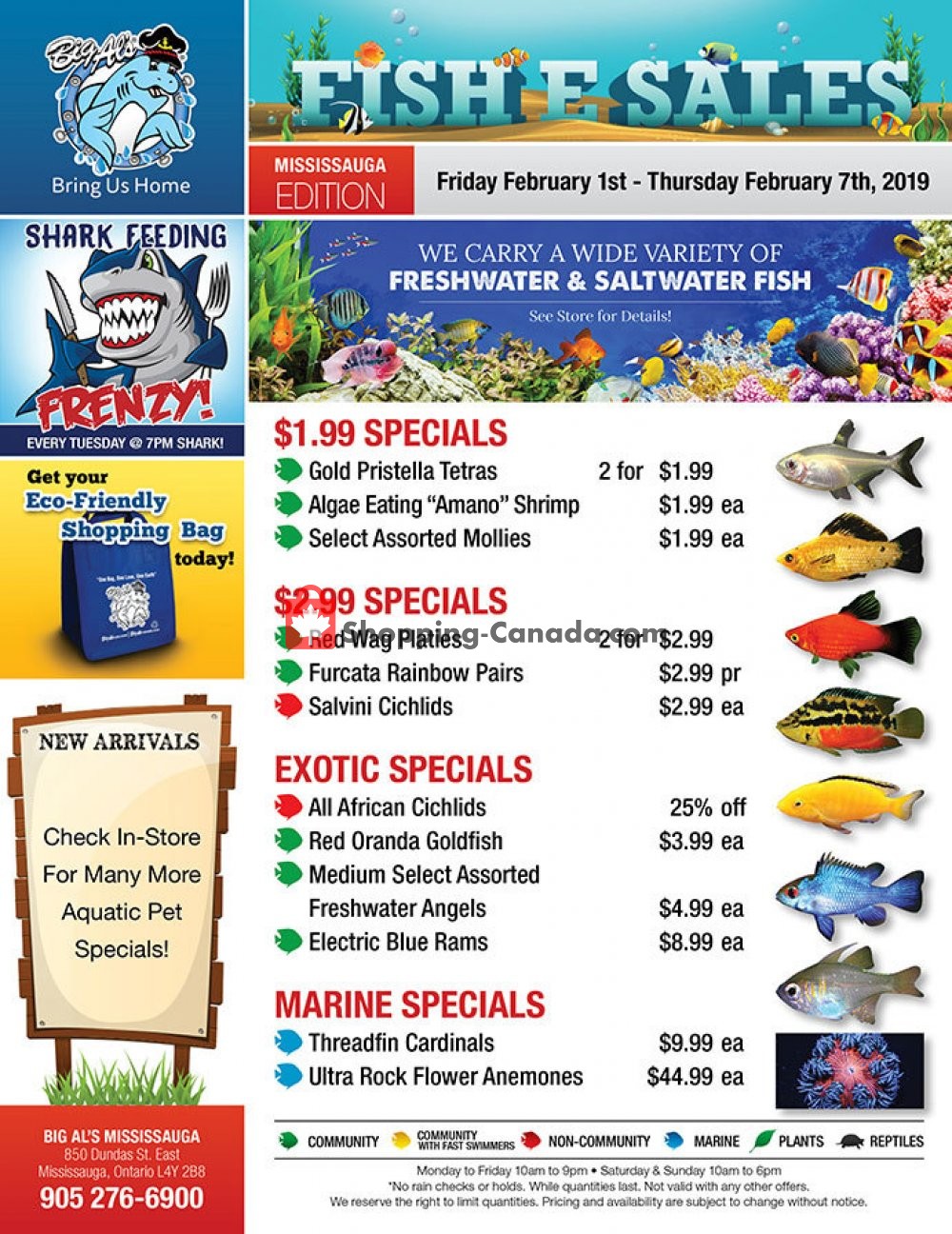 Big Al's flyer from Friday February 1, 2019 to Thursday February 7, 2019 - page 1
