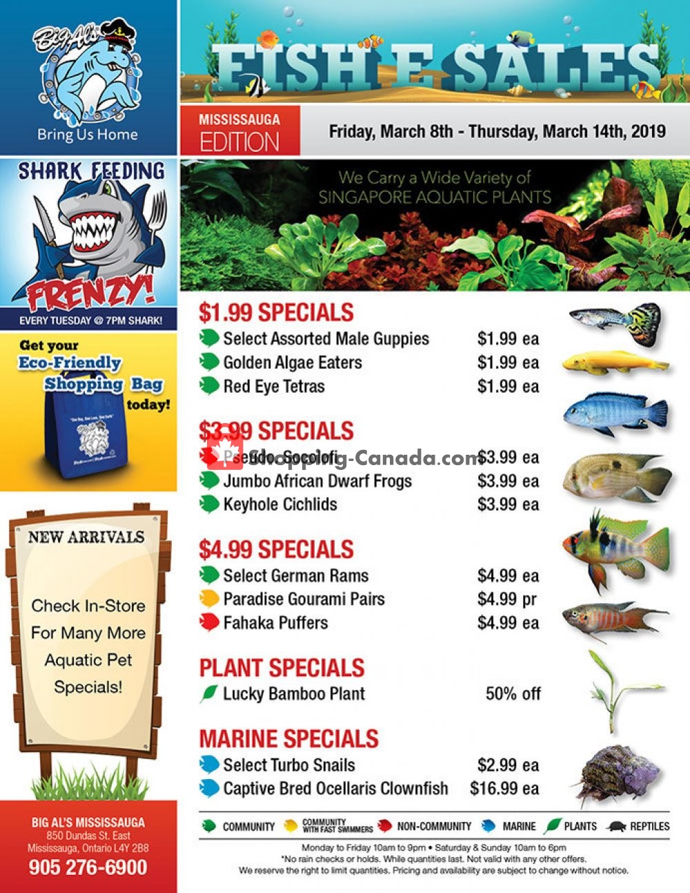 Big Al's flyer from Friday March 8, 2019 to Thursday March 14, 2019 - page 1