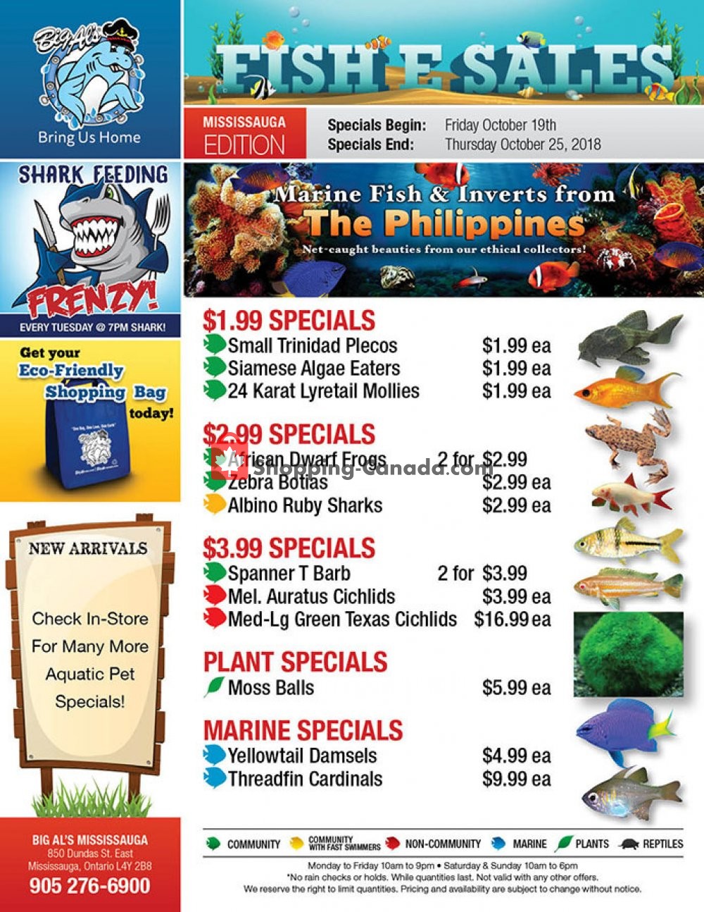Big Al's flyer from Friday October 19, 2018 to Thursday October 25, 2018 - page 1