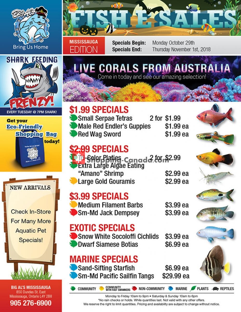 Big Al's flyer from Monday October 29, 2018 to Thursday November 1, 2018 - page 1