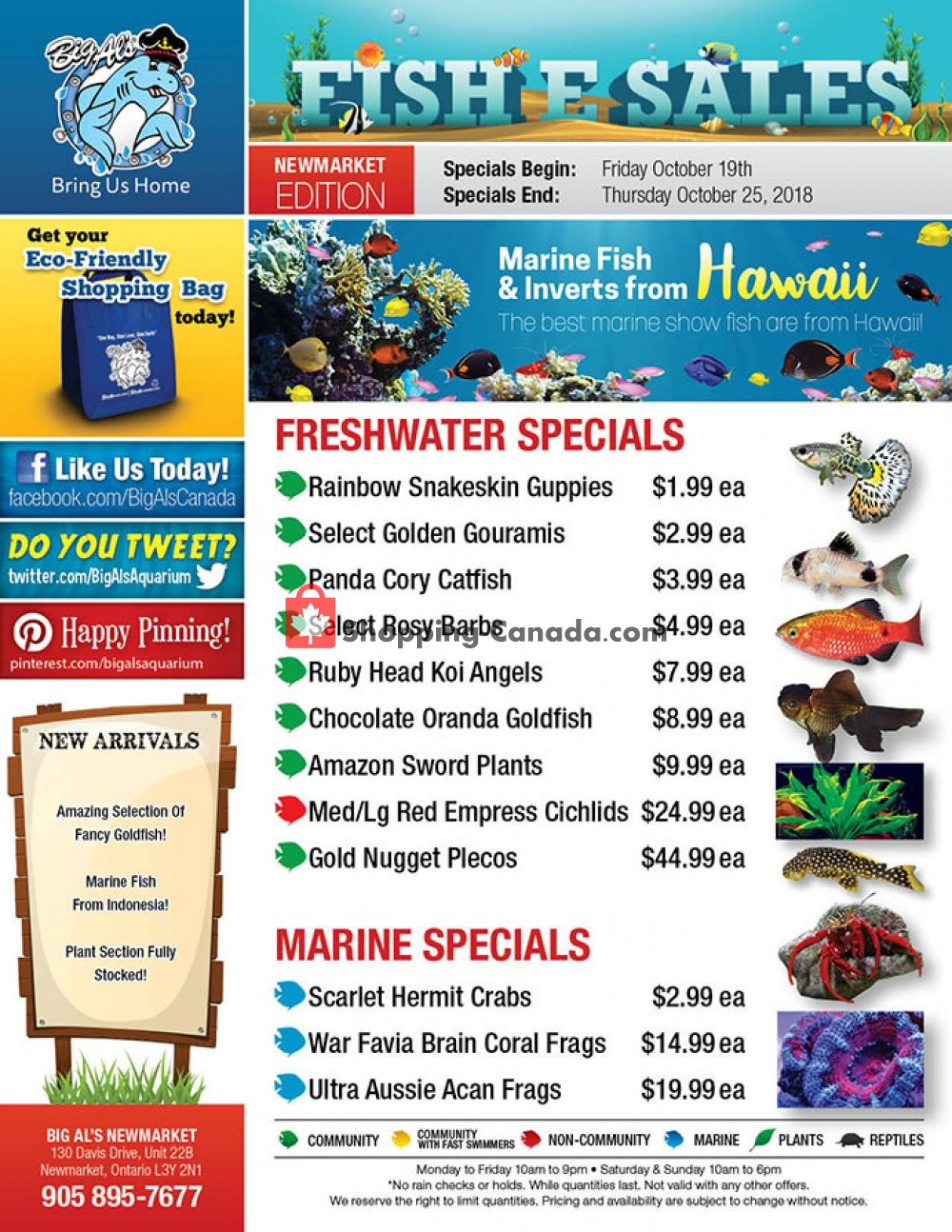 Big Al's flyer from Friday October 19, 2018 to Thursday October 25, 2018 - page 1