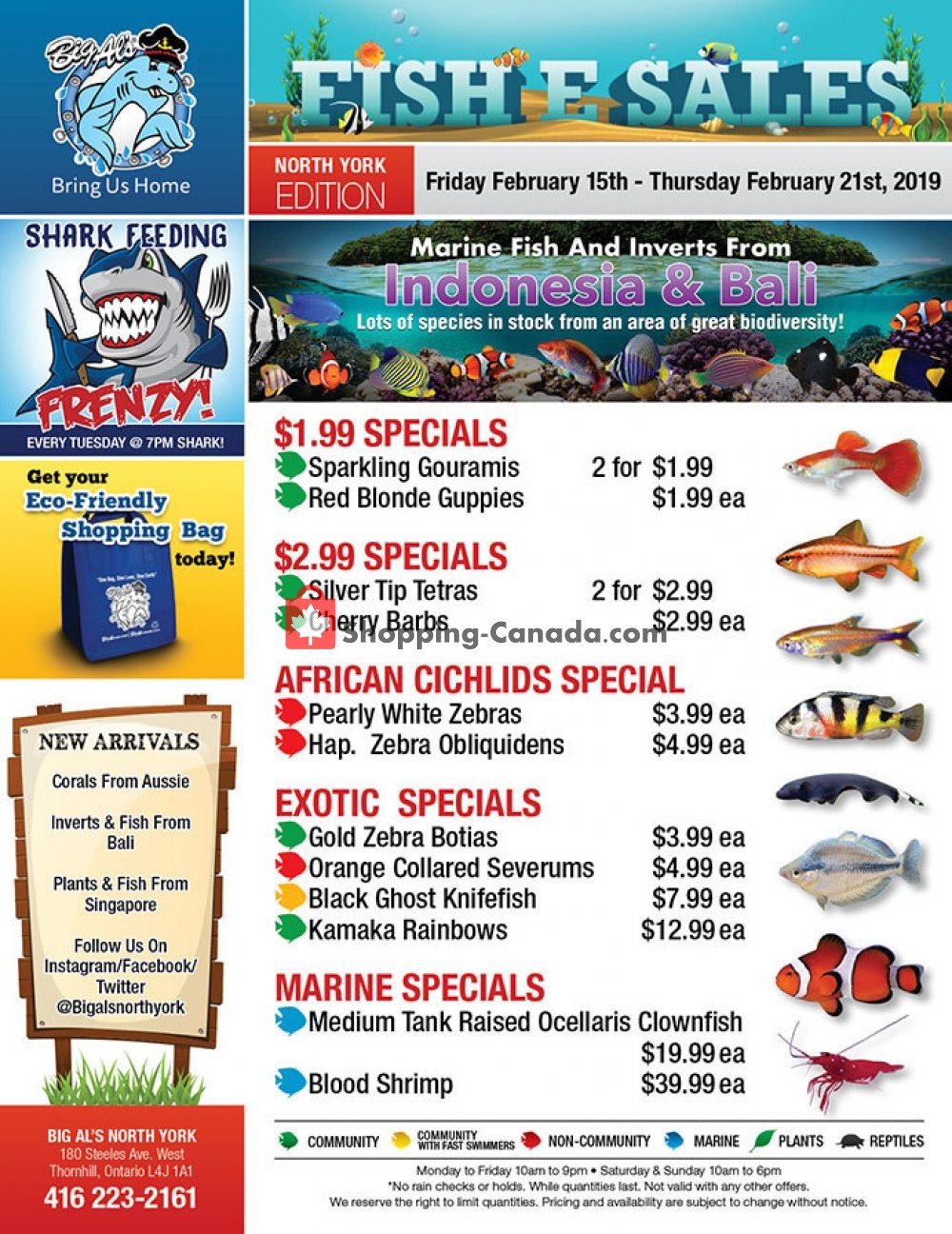 Big Al's flyer from Friday February 15, 2019 to Thursday February 21, 2019 - page 1
