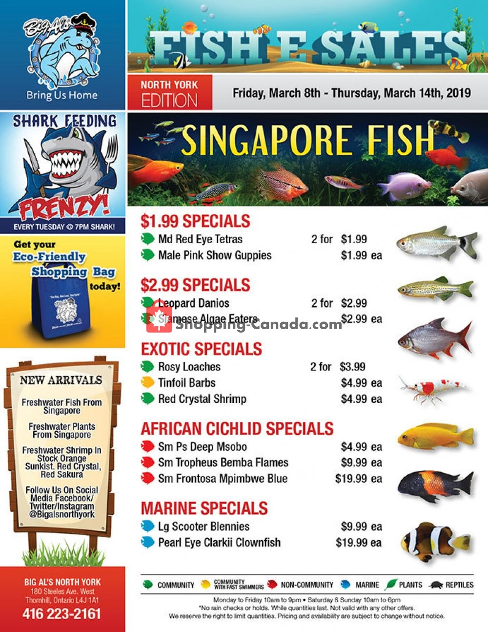 Big Al's flyer from Friday March 8, 2019 to Thursday March 14, 2019 - page 1