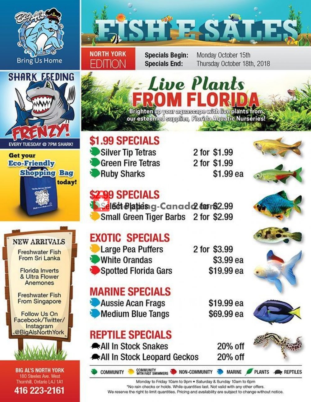 Big Al's flyer from Monday October 15, 2018 to Thursday October 18, 2018 - page 1