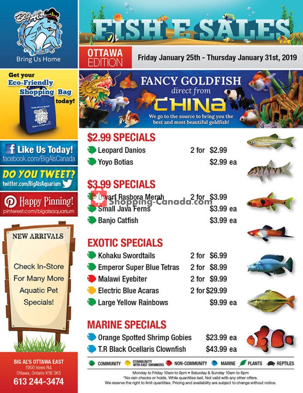 Big Al's flyer from Friday January 25, 2019 to Thursday January 31, 2019 - page 1