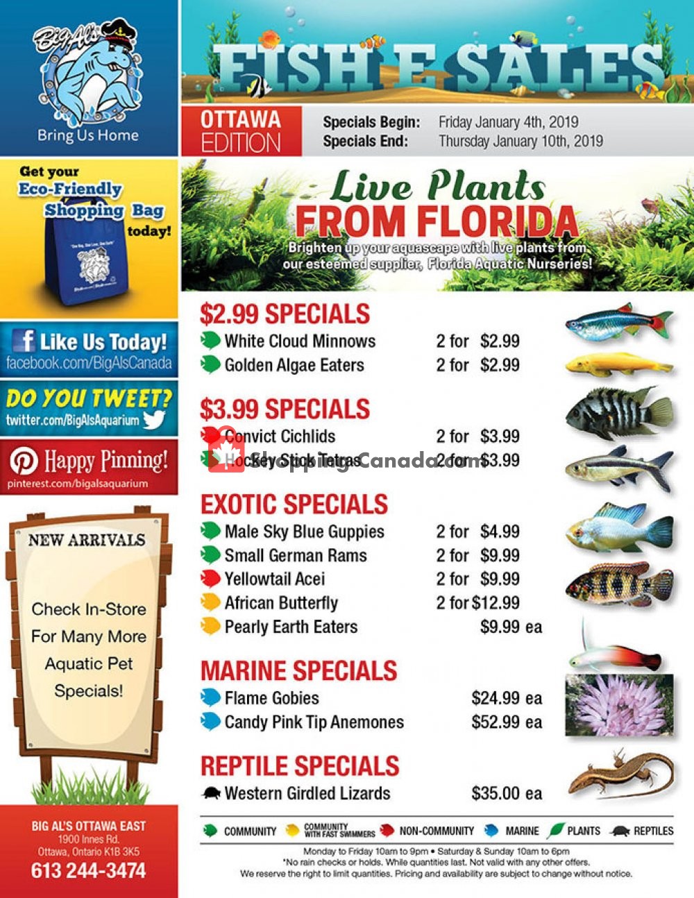 Big Al's flyer from Friday January 4, 2019 to Thursday January 10, 2019 - page 1