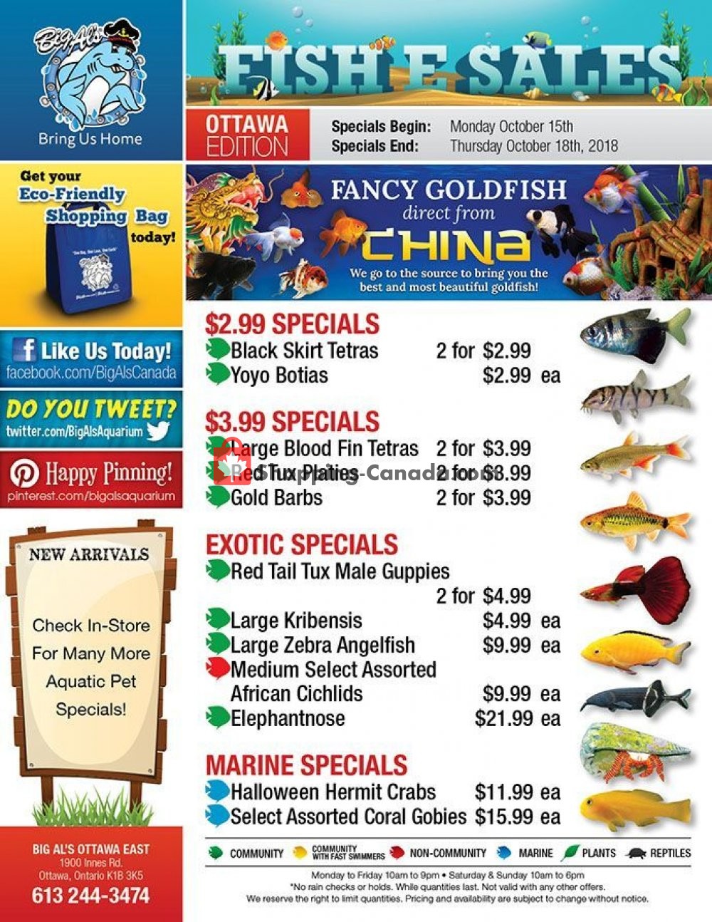 Big Al's flyer from Monday October 15, 2018 to Thursday October 18, 2018 - page 1