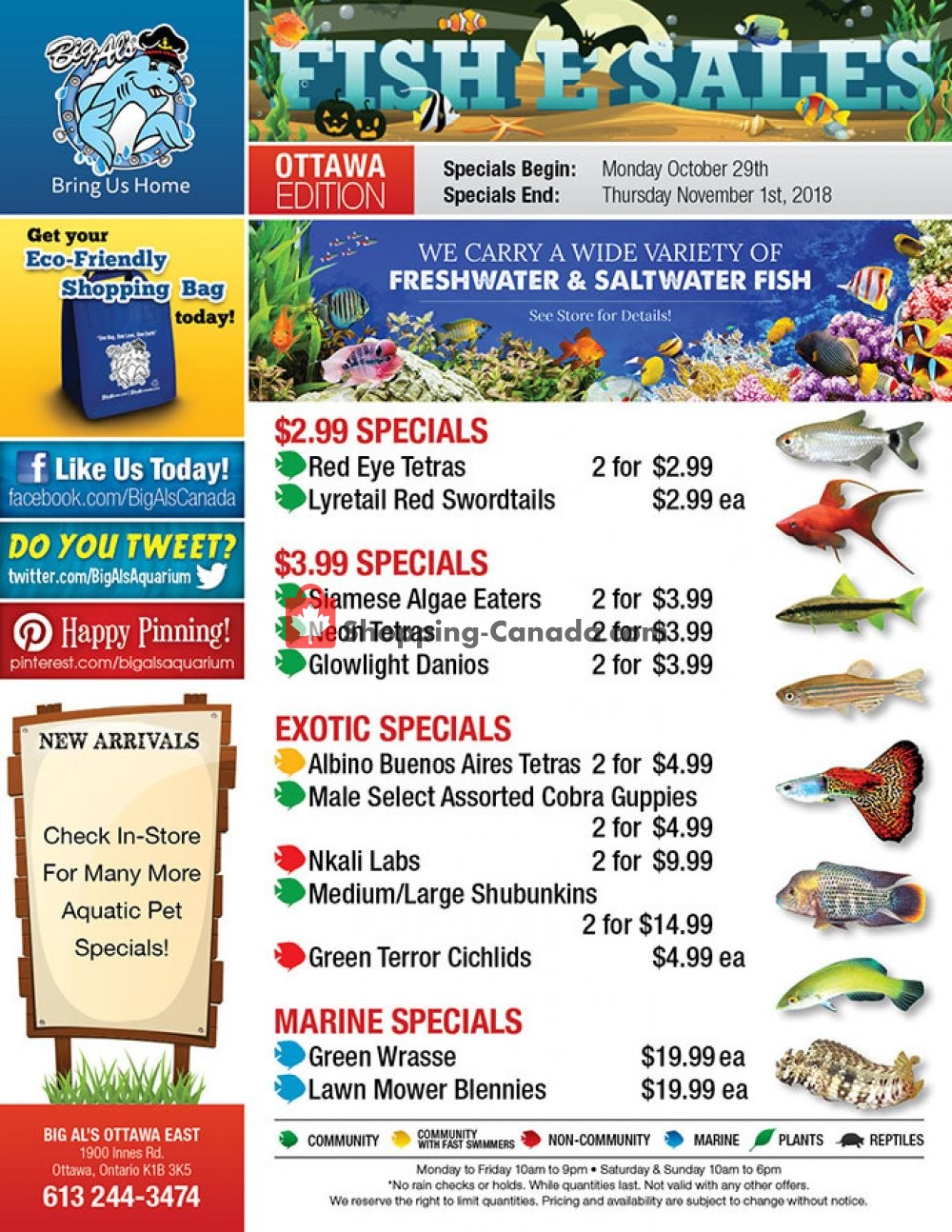 Big Al's flyer from Monday October 29, 2018 to Thursday November 1, 2018 - page 1