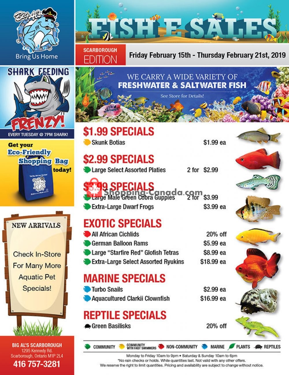 Big Al's flyer from Friday February 15, 2019 to Thursday February 21, 2019 - page 1