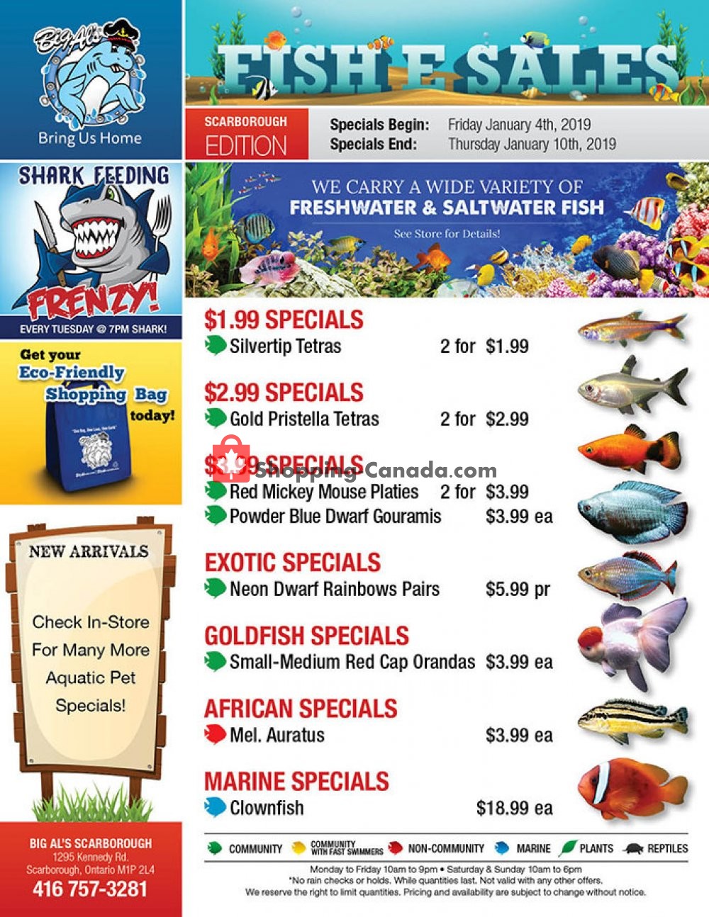 Big Al's flyer from Friday January 4, 2019 to Thursday January 10, 2019 - page 1