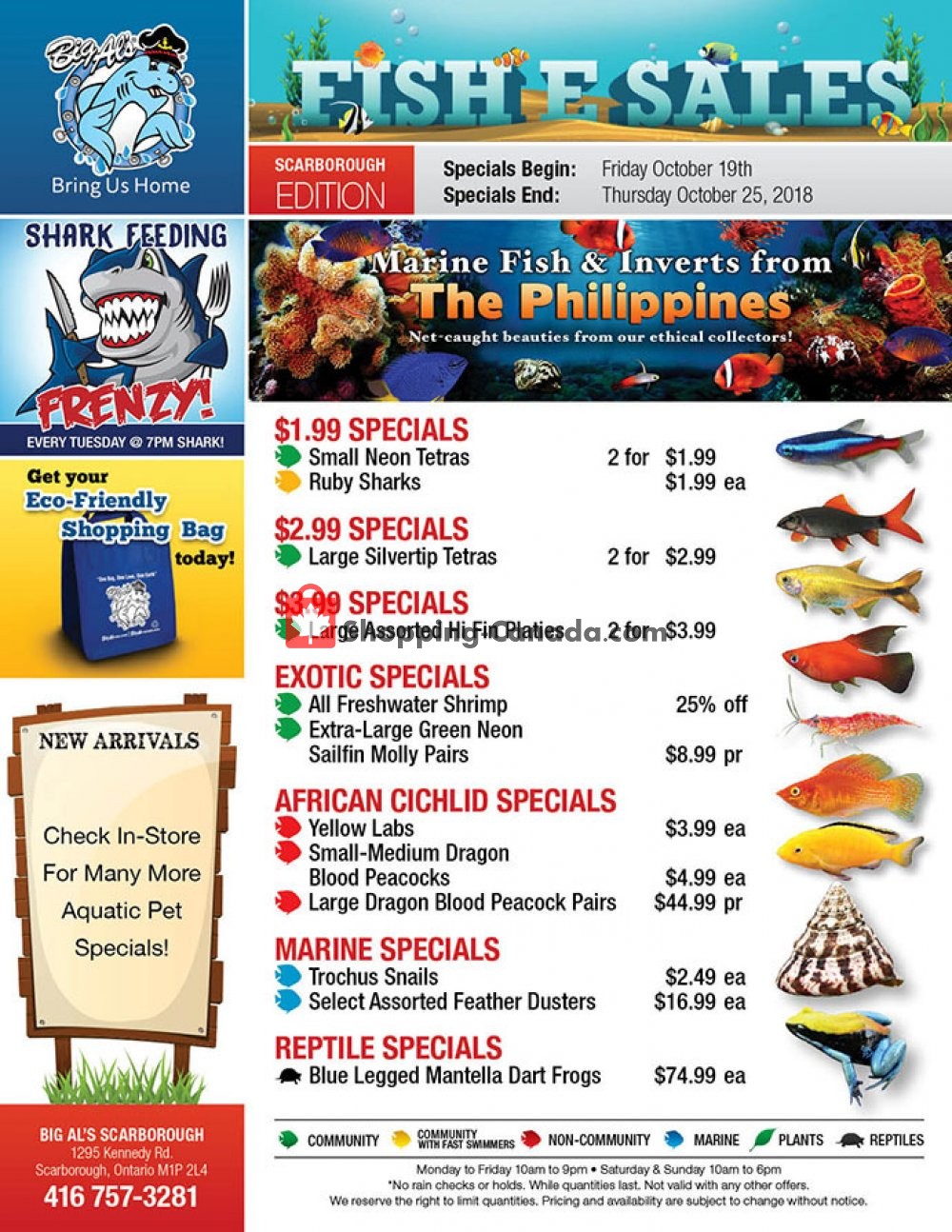 Big Al's flyer from Friday October 19, 2018 to Thursday October 25, 2018 - page 1