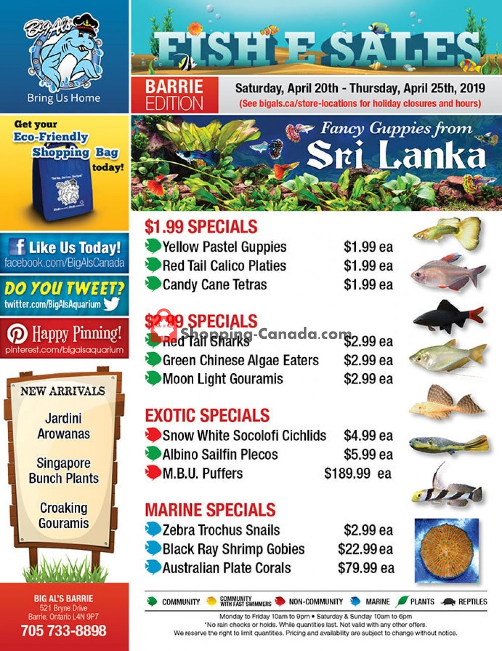 Big Al's flyer from Saturday April 20, 2019 to Thursday April 25, 2019 - page 1