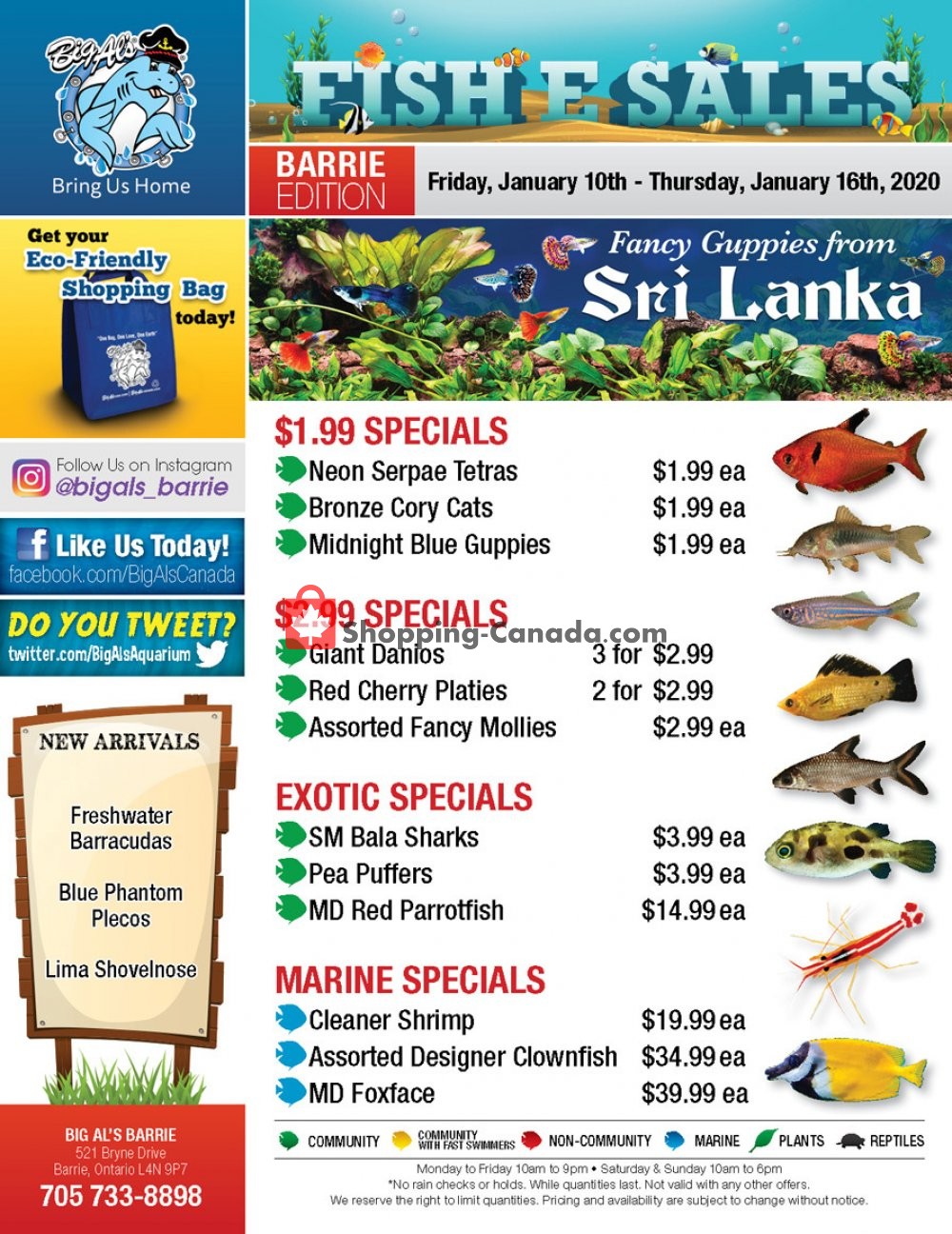 Big Al's flyer from Friday January 10, 2020 to Thursday January 16, 2020 - page 1