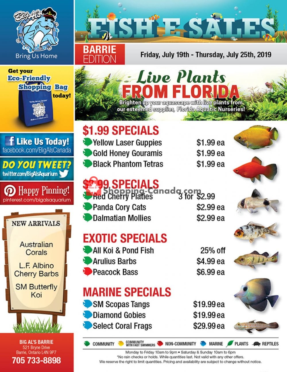 Big Al's flyer from Friday July 19, 2019 to Thursday July 25, 2019 - page 1