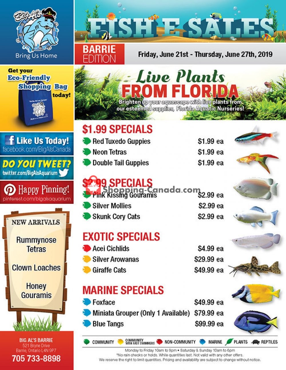 Big Al's flyer from Friday June 21, 2019 to Thursday June 27, 2019 - page 1