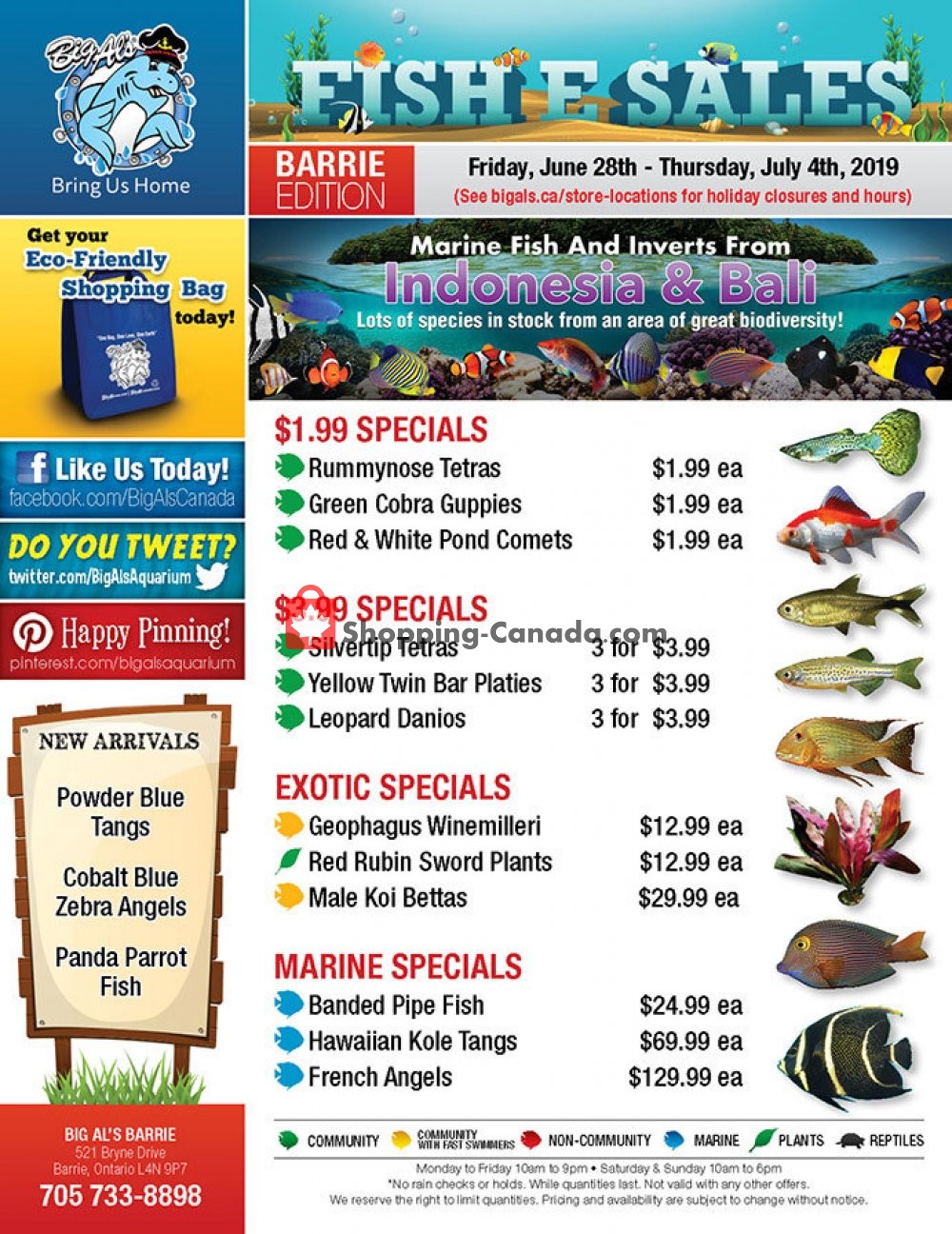 Big Al's flyer from Friday June 28, 2019 to Thursday July 4, 2019 - page 1