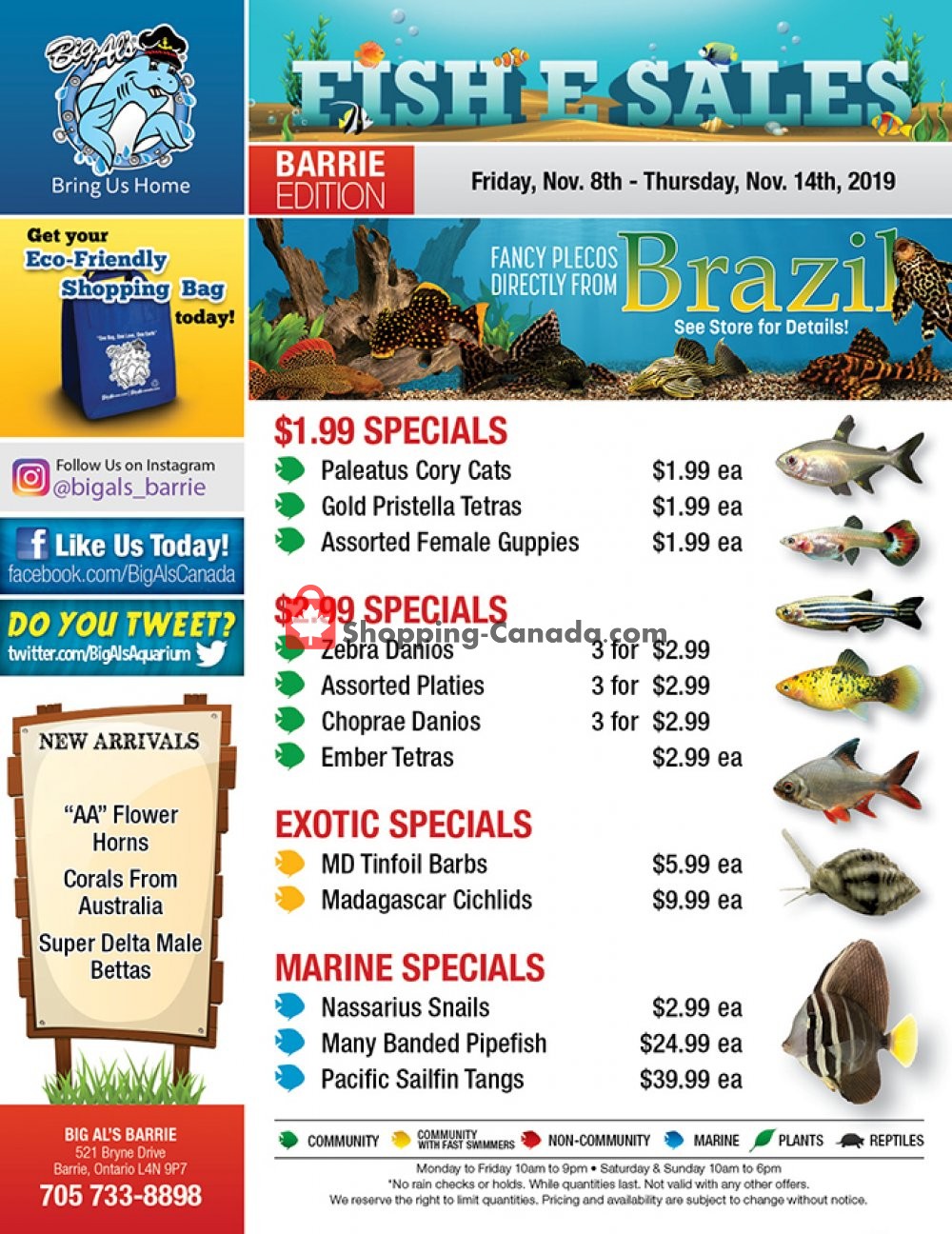 Big Al's flyer from Friday November 8, 2019 to Thursday November 14, 2019 - page 1