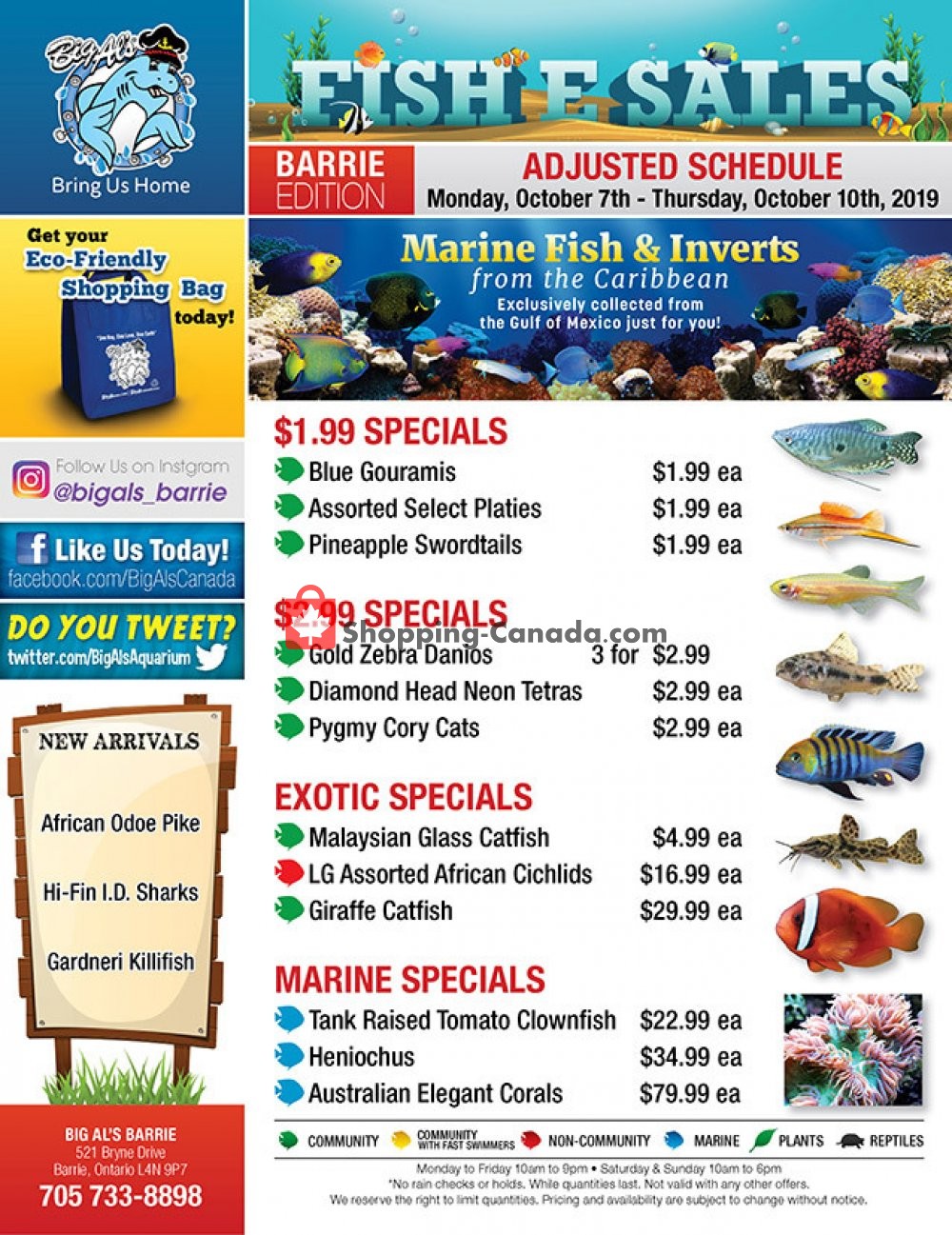 Big Al's flyer from Monday October 7, 2019 to Thursday October 10, 2019 - page 1