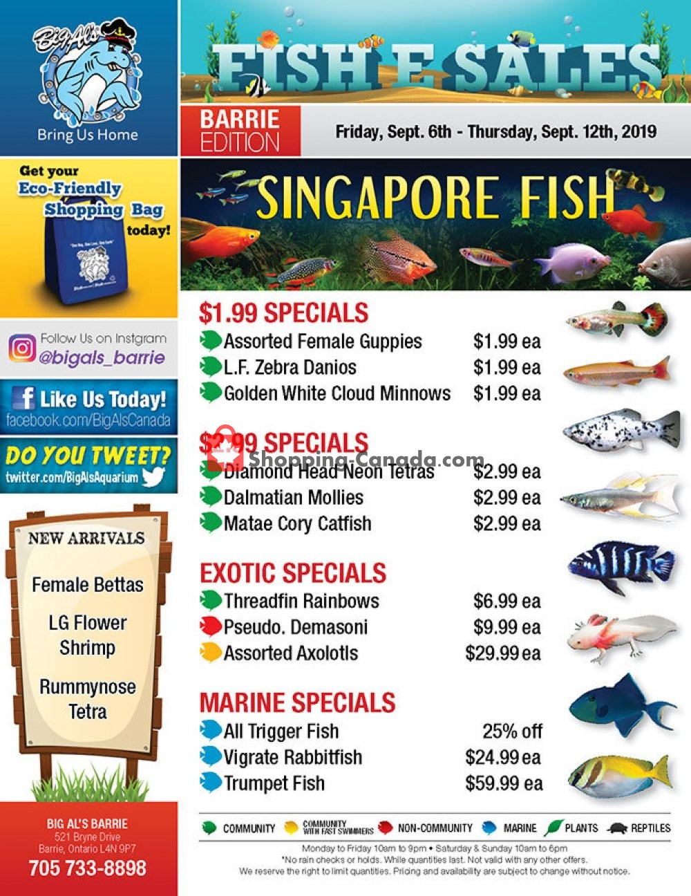 Big Al's flyer from Friday September 6, 2019 to Thursday September 12, 2019 - page 1