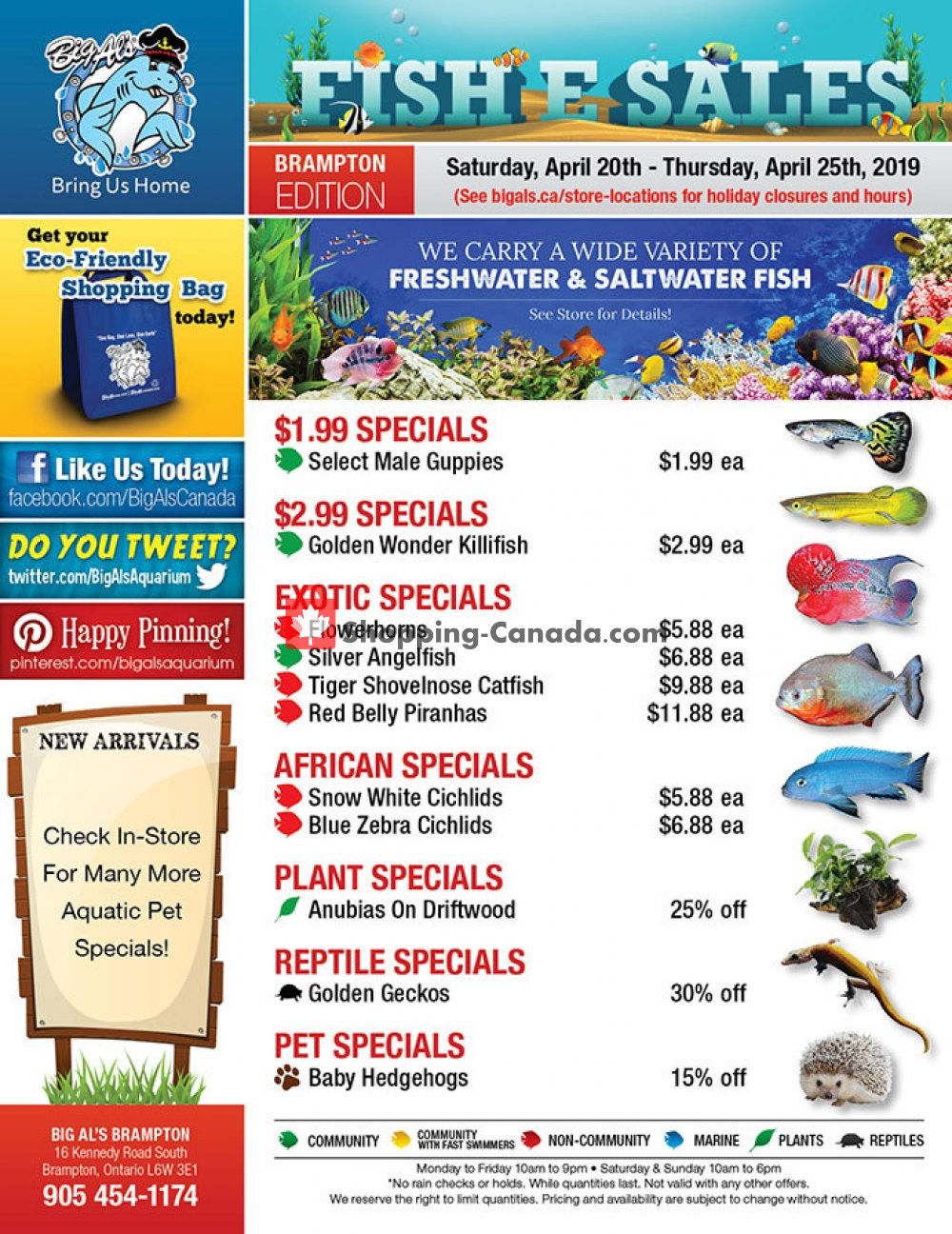 Big Al's flyer from Saturday April 20, 2019 to Thursday April 25, 2019 - page 1