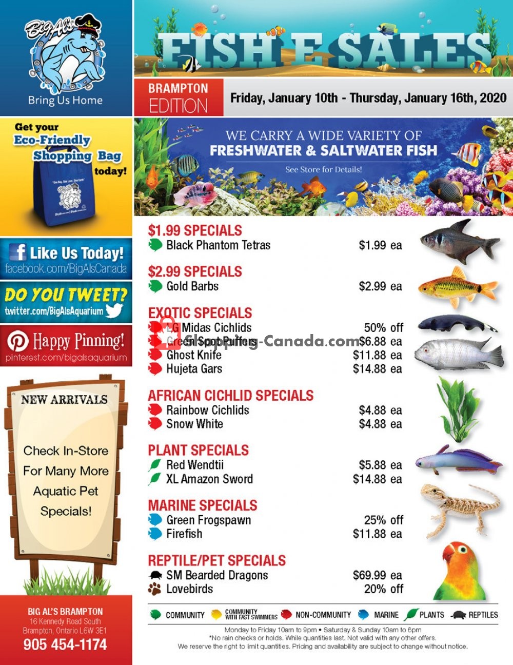 Big Al's flyer from Friday January 10, 2020 to Thursday January 16, 2020 - page 1
