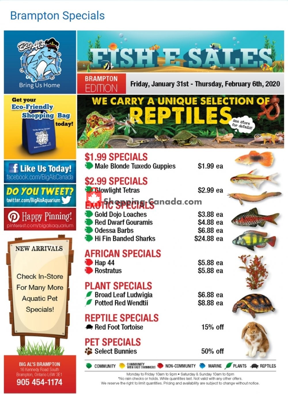 Big Al's flyer from Friday January 31, 2020 to Thursday February 6, 2020 - page 1