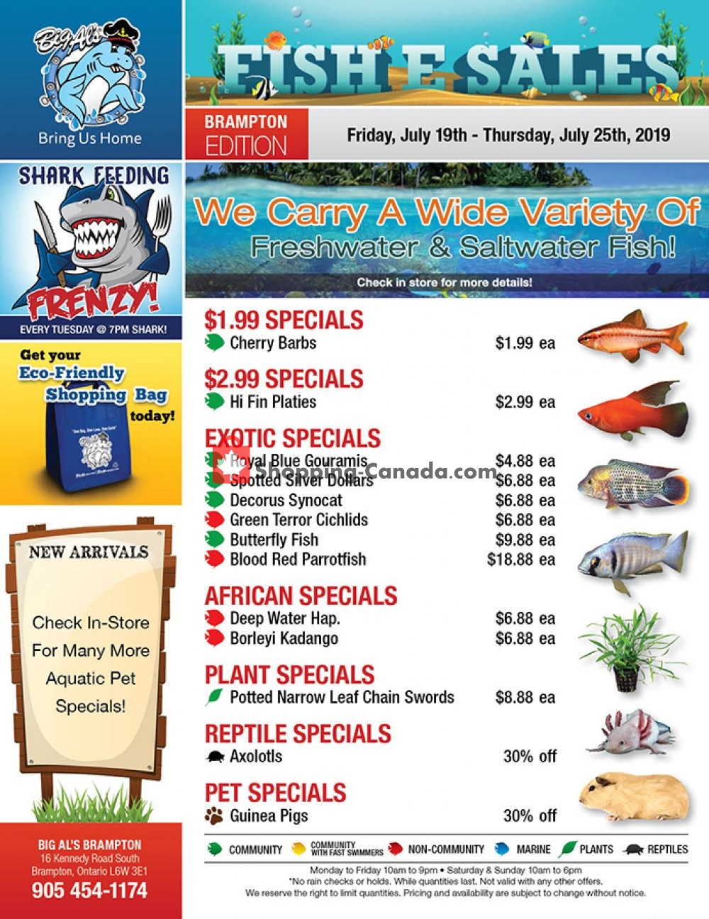 Big Al's flyer from Friday July 19, 2019 to Thursday July 25, 2019 - page 1