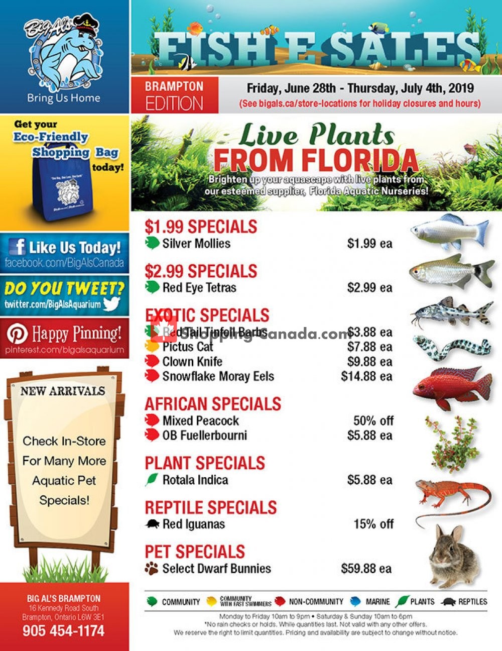 Big Al's flyer from Friday June 28, 2019 to Thursday July 4, 2019 - page 1