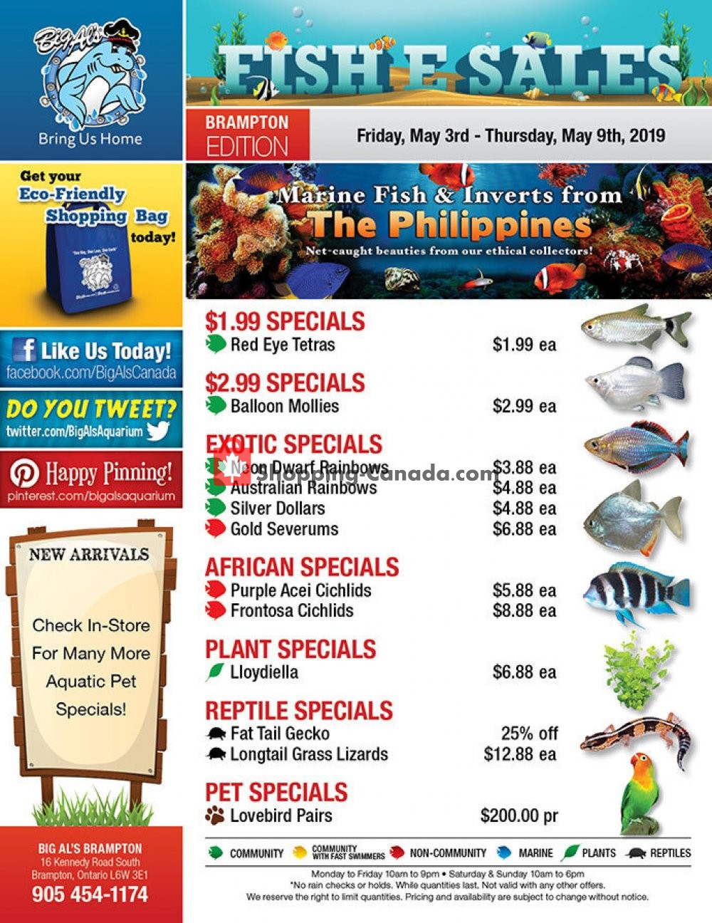 Big Al's flyer from Friday May 3, 2019 to Thursday May 9, 2019 - page 1