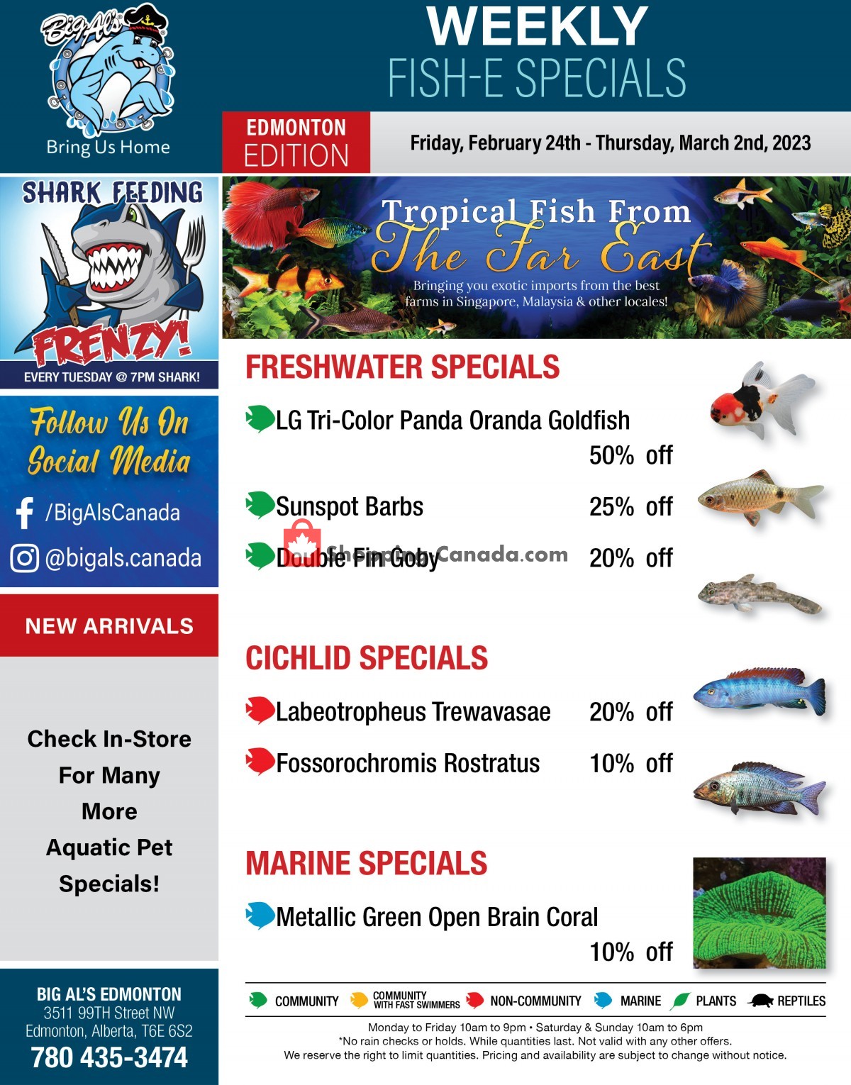 Big Al's Canada, flyer (Special Offer Edmonton) February 24