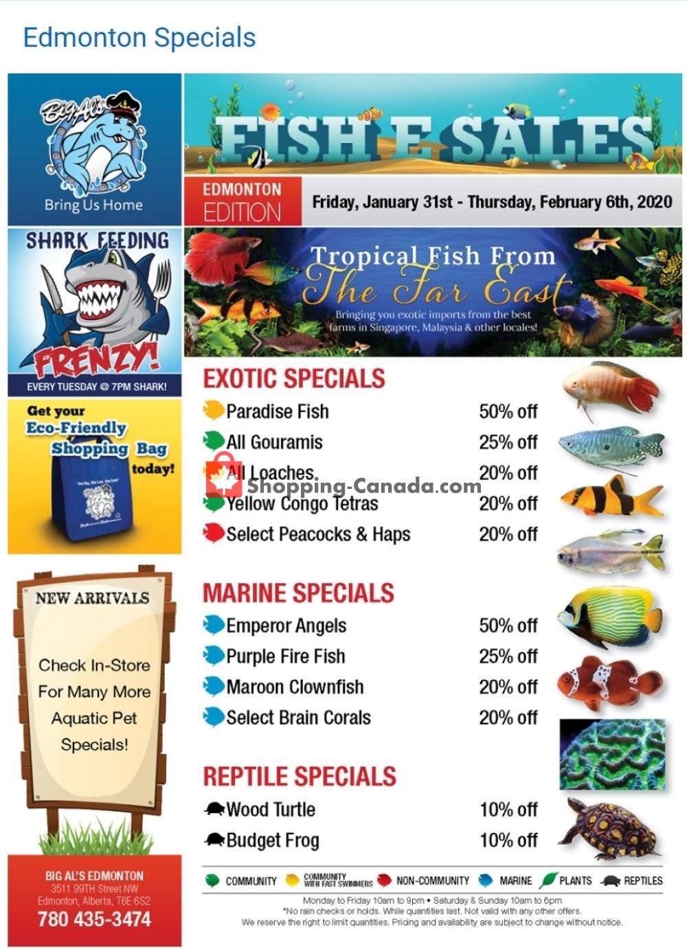 Big Al's flyer from Friday January 31, 2020 to Thursday February 6, 2020 - page 1