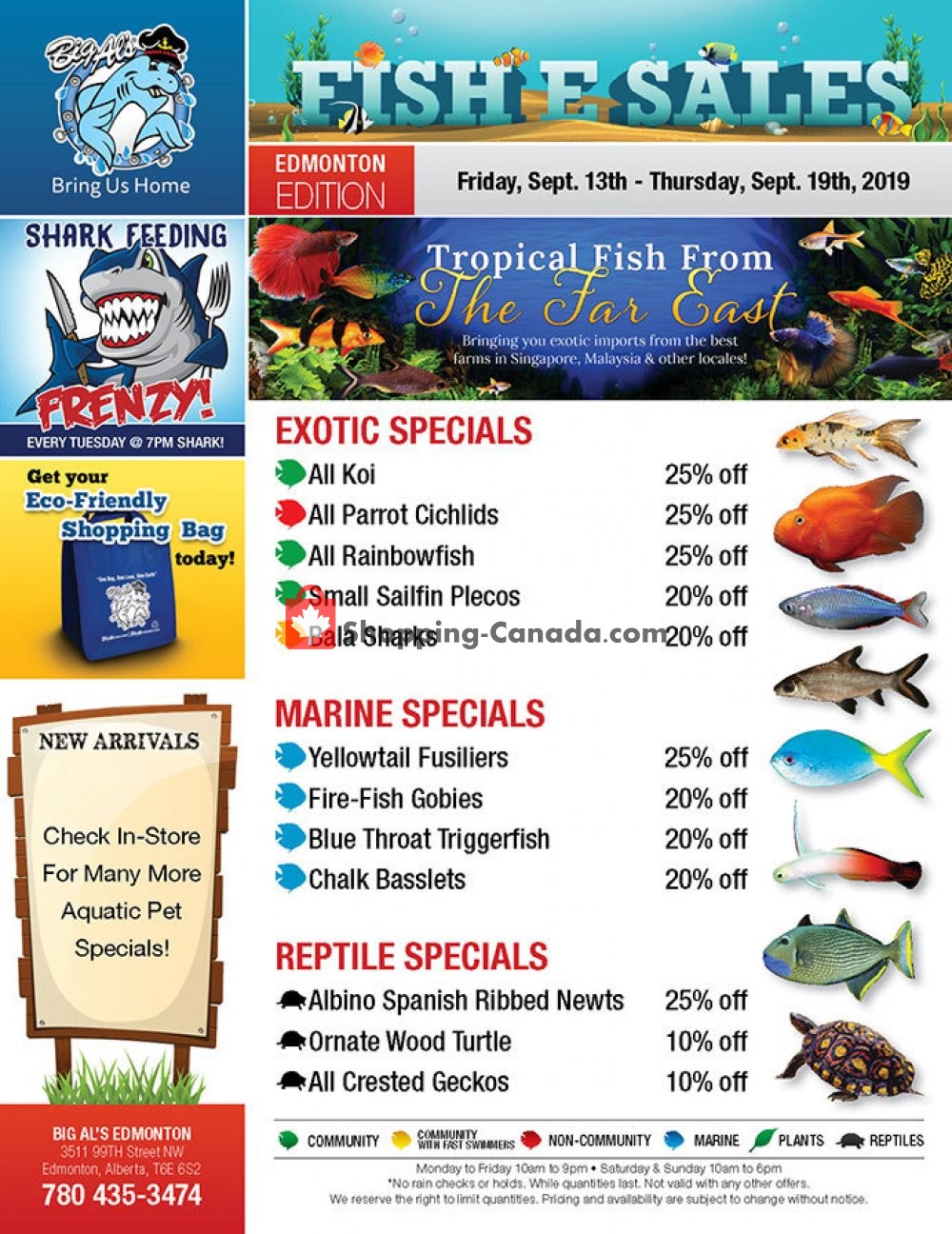 Big Al's flyer from Friday September 13, 2019 to Thursday September 19, 2019 - page 1