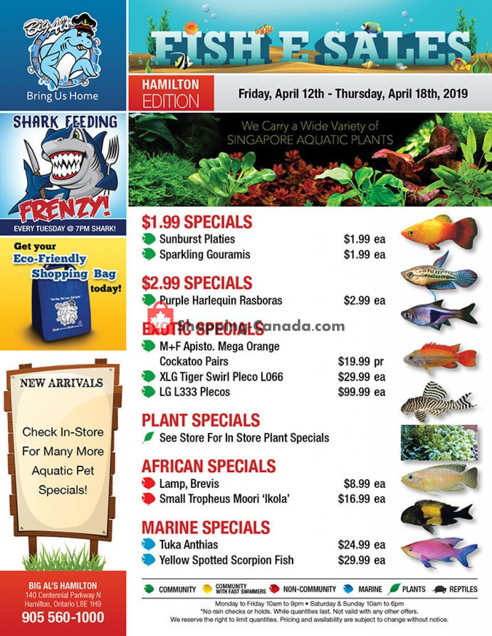 Big Al's flyer from Friday April 12, 2019 to Thursday April 18, 2019 - page 1