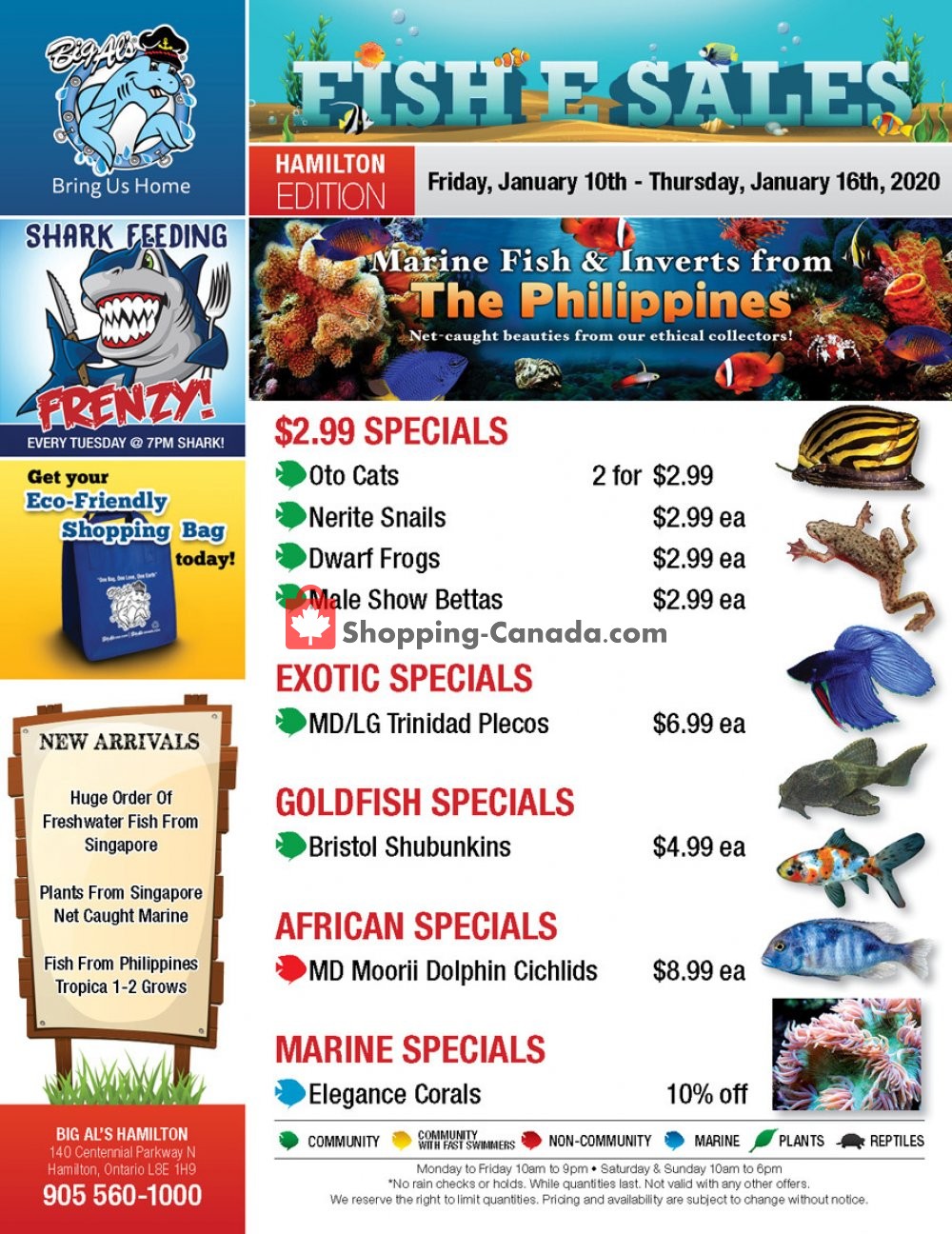 Big Al's flyer from Friday January 10, 2020 to Thursday January 16, 2020 - page 1