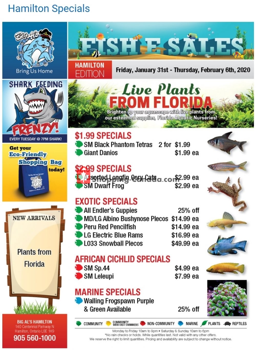 Big Al's flyer from Friday January 31, 2020 to Thursday February 6, 2020 - page 1