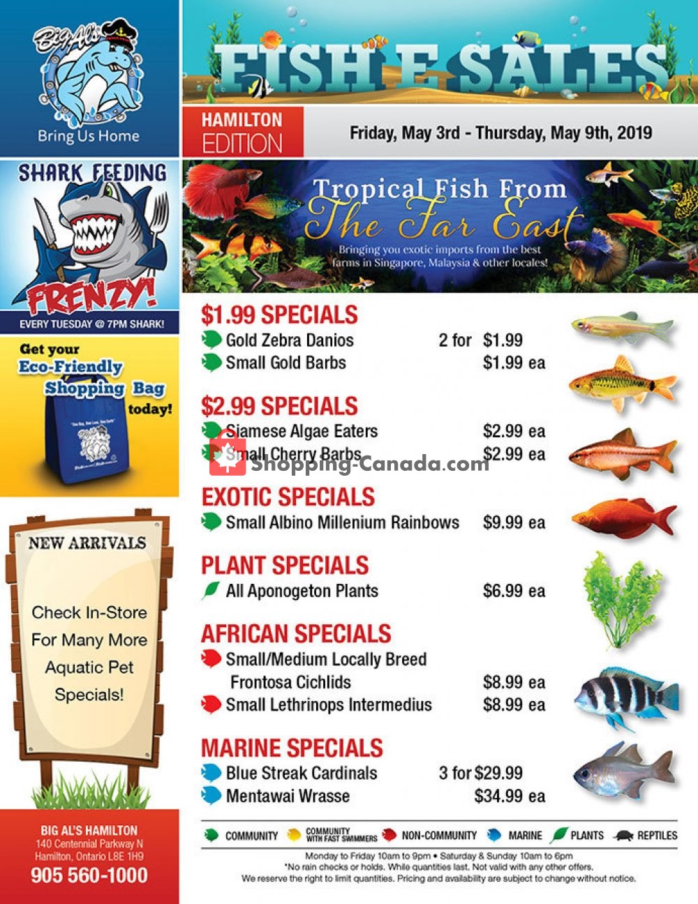 Big Al's flyer from Friday May 3, 2019 to Thursday May 9, 2019 - page 1