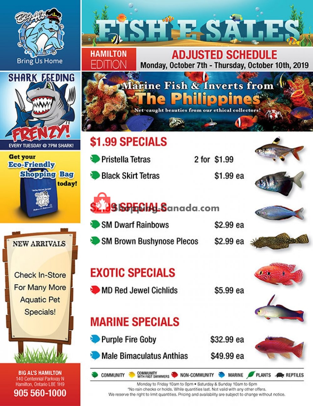 Big Al's flyer from Monday October 7, 2019 to Thursday October 10, 2019 - page 1