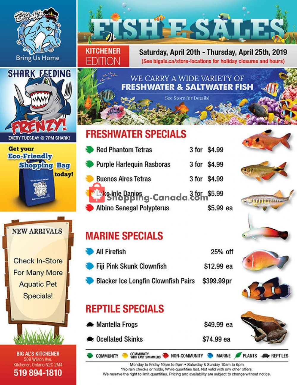 Big Al's flyer from Saturday April 20, 2019 to Thursday April 25, 2019 - page 1