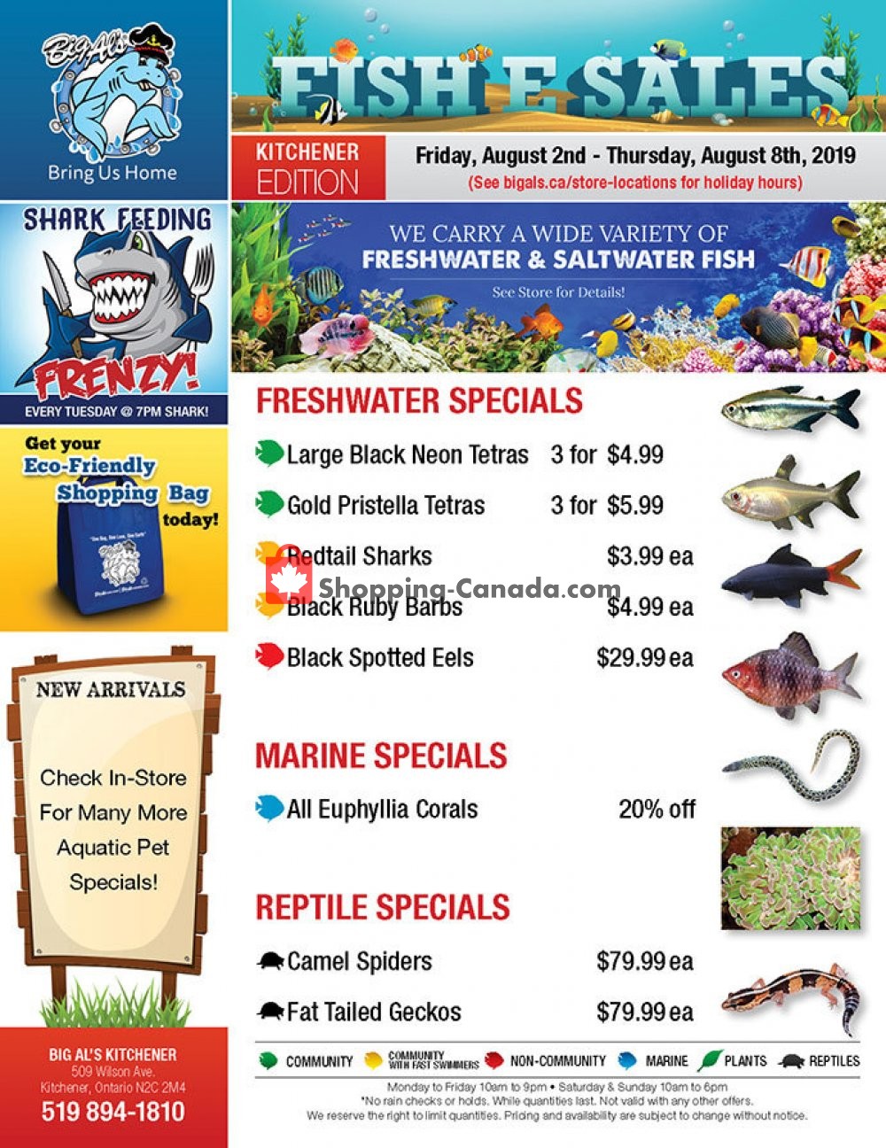 Big Al's flyer from Friday August 2, 2019 to Thursday August 8, 2019 - page 1