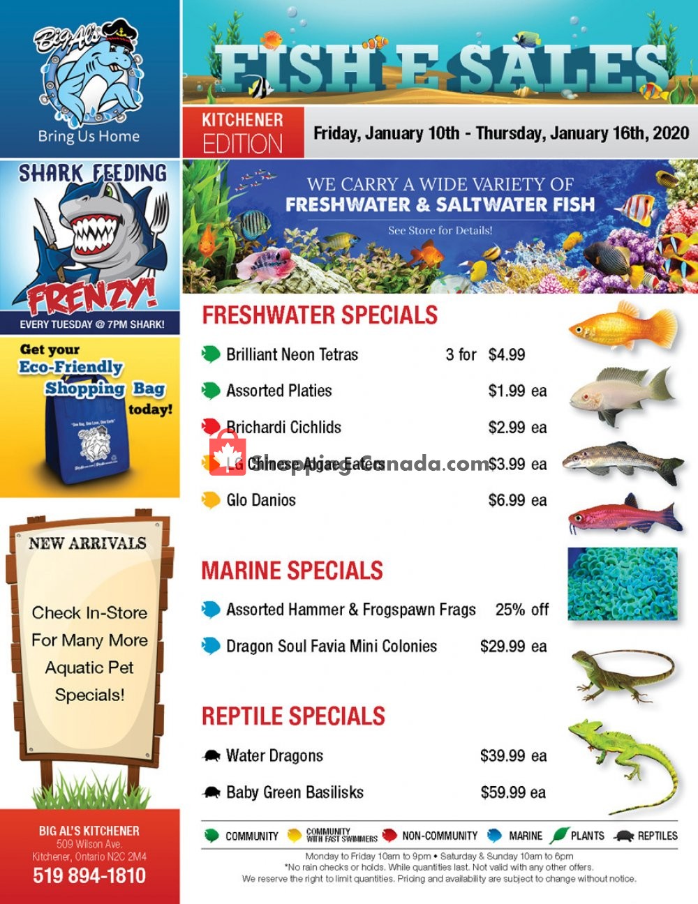 Big Al's flyer from Friday January 10, 2020 to Thursday January 16, 2020 - page 1