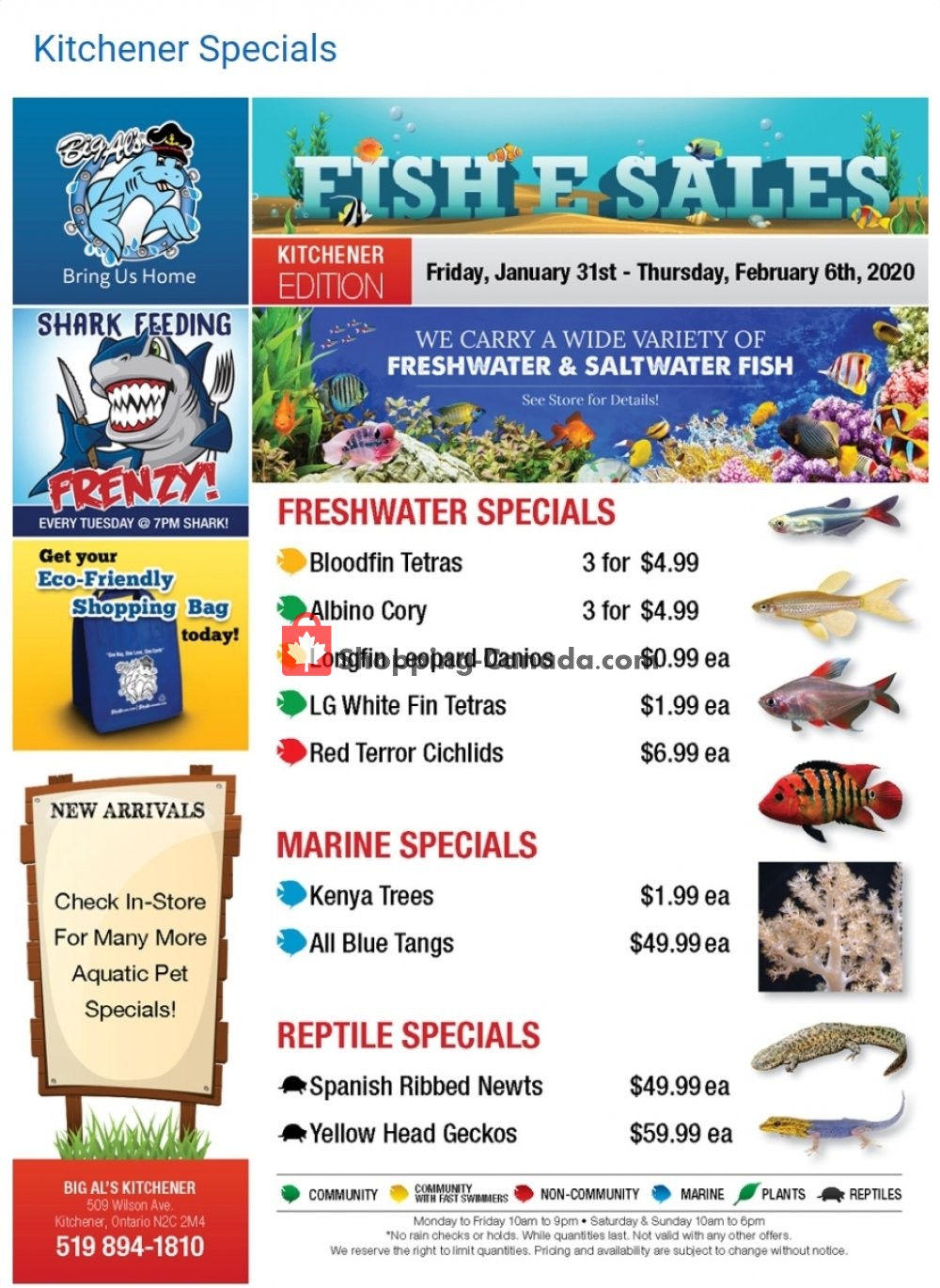 Big Al's flyer from Friday January 31, 2020 to Friday March 6, 2020 - page 1