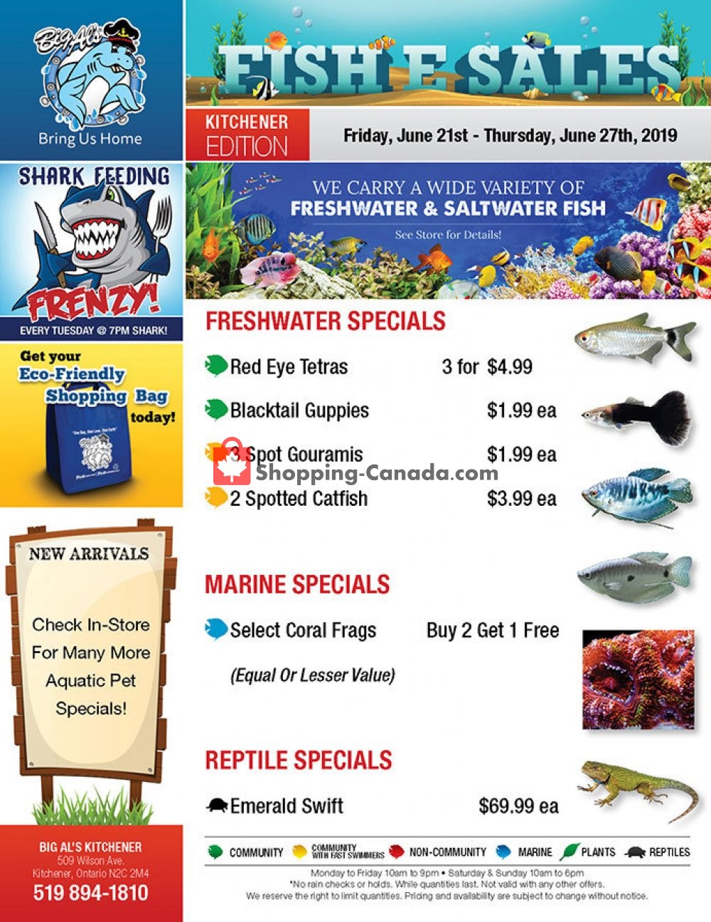 Big Al's flyer from Friday June 21, 2019 to Thursday June 27, 2019 - page 1