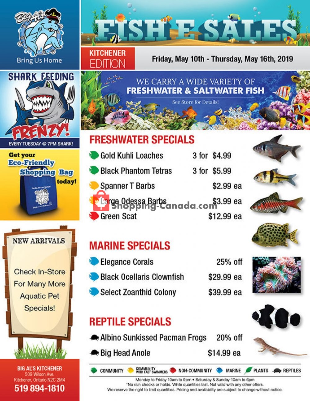 Big Al's flyer from Friday May 10, 2019 to Thursday May 16, 2019 - page 1