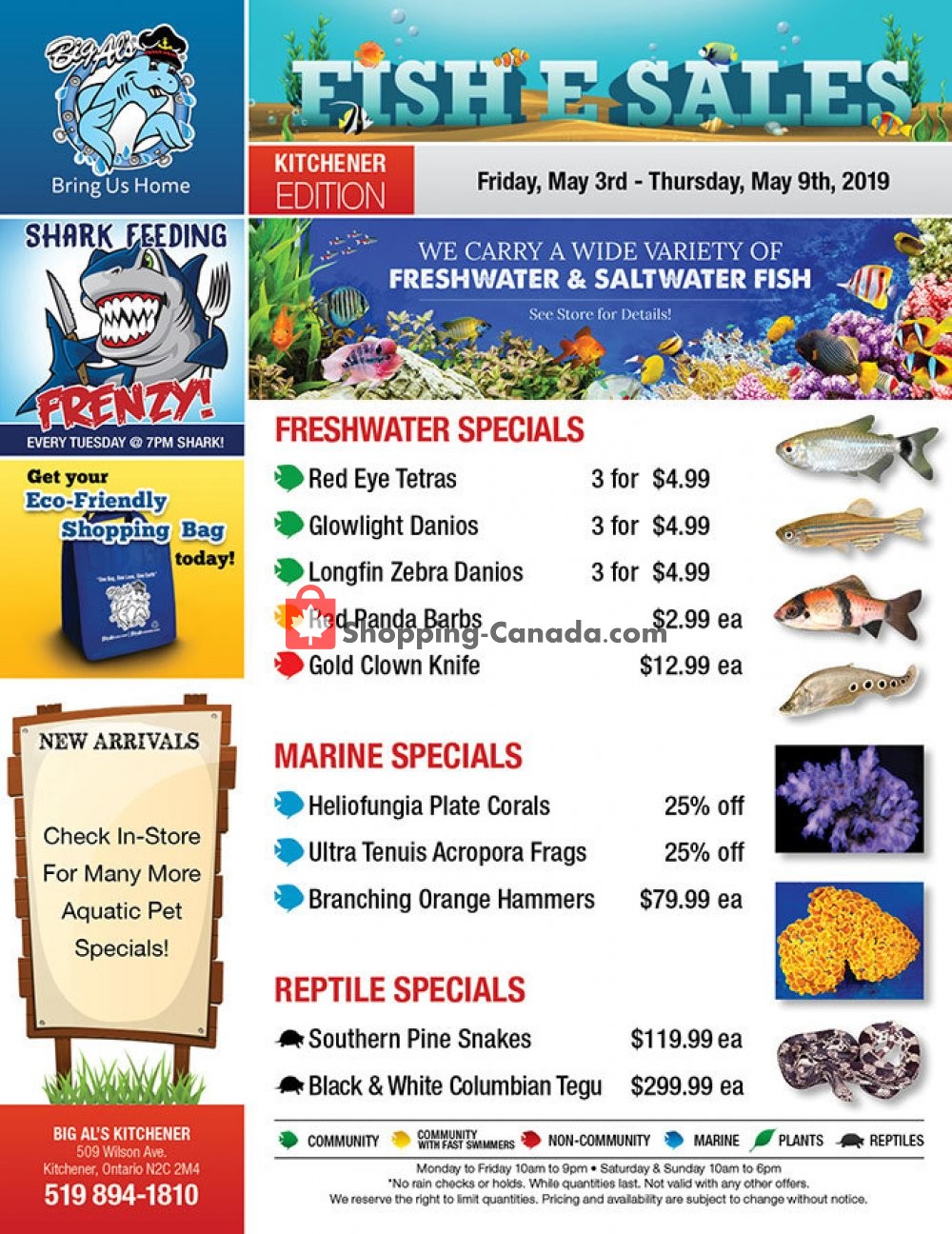 Big Al's flyer from Friday May 3, 2019 to Thursday May 9, 2019 - page 1